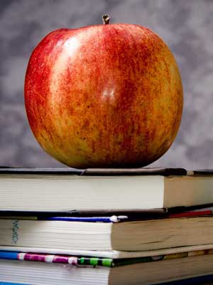 账号认证平台的网站攻击源码